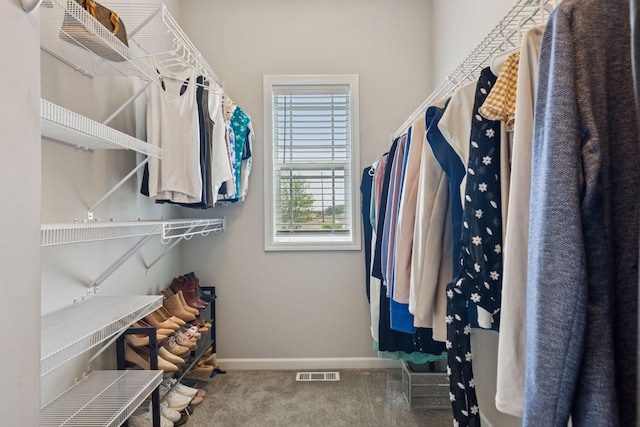 8094 Arrowwood Ln N, Maple Grove, MN 55369 - walk in closet featuring carpet flooring