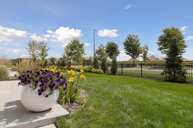 8094 Arrowwood Ln N, Maple Grove, MN 55369 - view of yard