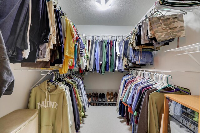 2301 170th Ln NW, Andover, MN 55304 - spacious closet with carpet