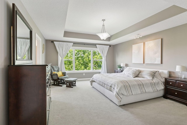 17607 64th Pl N, Maple Grove, MN 55311 - bedroom with light carpet and a tray ceiling