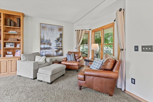 1111 Woods Creek Dr, Delano, MN 55328 - living room with carpet floors