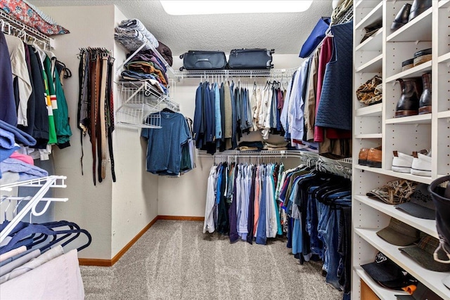 1111 Woods Creek Dr, Delano, MN 55328 - walk in closet with carpet floors