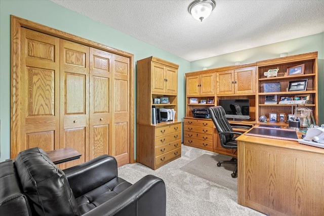 1111 Woods Creek Dr, Delano, MN 55328 - office space featuring light carpet and a textured ceiling
