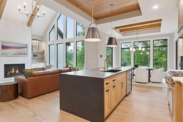4864 148th Ave, Ham Lake, MN 55304 - kitchen featuring a raised ceiling, appliances with stainless steel finishes, light wood-type flooring, a lit fireplace, and wooden ceiling