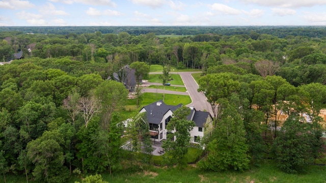 4864 148th Ave, Ham Lake, MN 55304 - bird's eye view of a forest