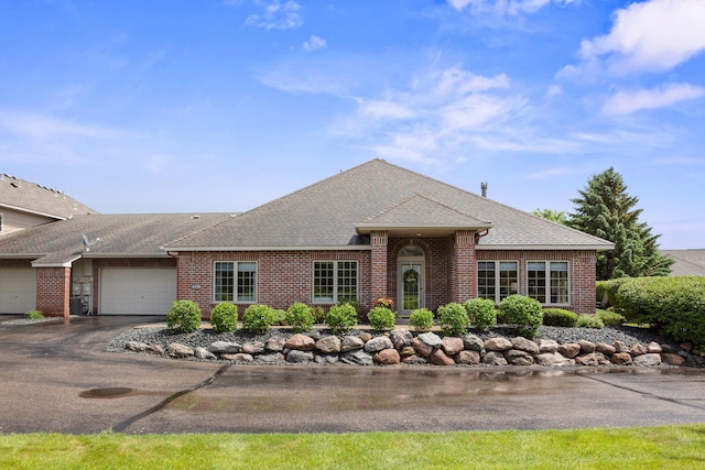 4438 Napier Pkwy NE, Saint Michael, MN 55376 - ranch-style home featuring brick siding, an attached garage, roof with shingles, and asphalt driveway
