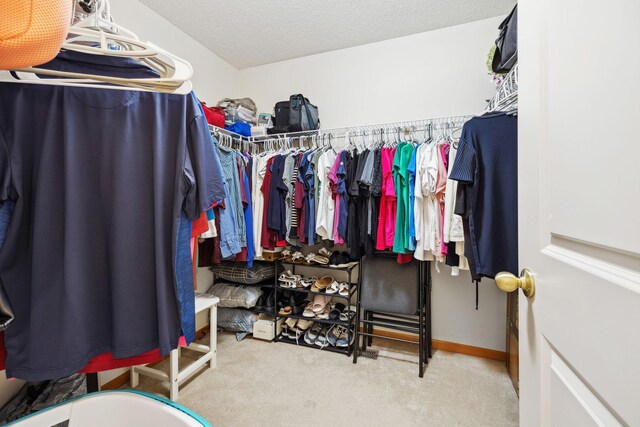 4438 Napier Pkwy NE, Saint Michael, MN 55376 - walk in closet with carpet floors