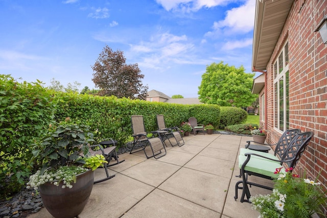 4438 Napier Pkwy NE, Saint Michael, MN 55376 - view of patio
