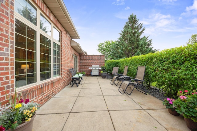 4438 Napier Pkwy NE, Saint Michael, MN 55376 - view of patio with a grill
