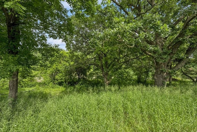 15271 Sodium St NW, Ramsey, MN 55303 - view of tree filled area