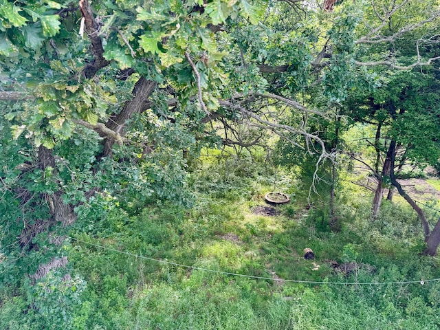 15271 Sodium St NW, Ramsey, MN 55303 - view of woods