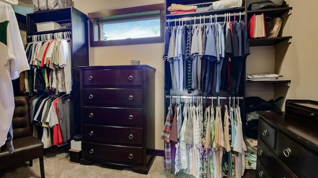 30488 292nd St, Lake Holcombe Twp, WI 54745 - spacious closet featuring carpet