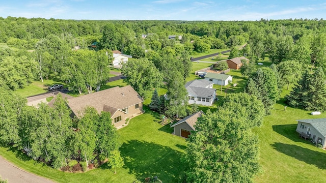 30488 292nd St, Lake Holcombe Twp, WI 54745 - bird's eye view of a forest