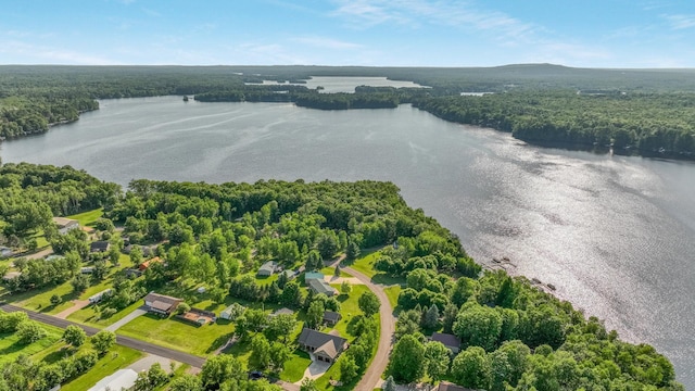 30488 292nd St, Lake Holcombe Twp, WI 54745 - bird's eye view of a nearby body of water