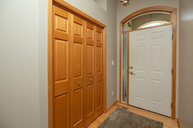 5209 Goodview Ln NW, Rochester, MN 55901 - entryway featuring light wood-style flooring