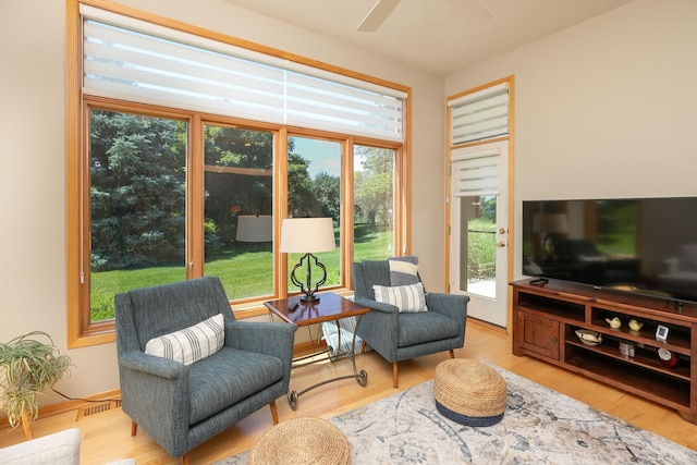 5209 Goodview Ln NW, Rochester, MN 55901 - living area with wood finished floors and ceiling fan