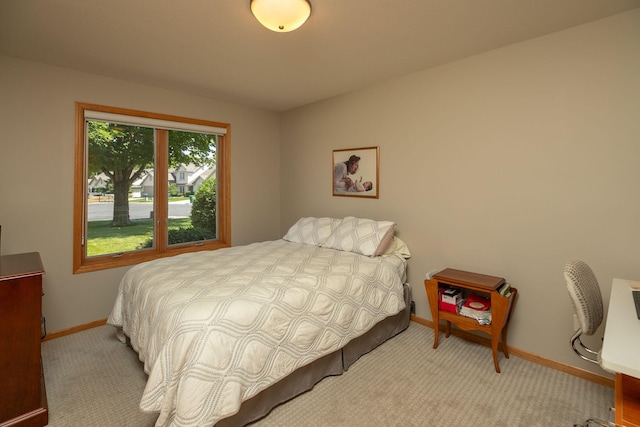 5209 Goodview Ln NW, Rochester, MN 55901 - bedroom featuring baseboards and carpet