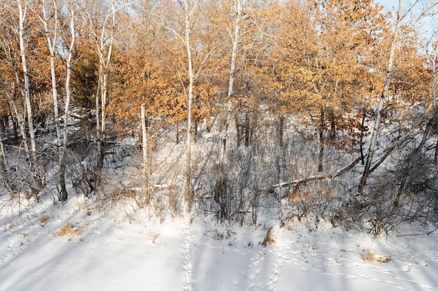 LOT2 Central Dr NE, Cambridge, MN 55008