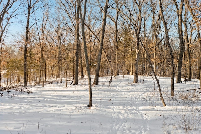 LOT2 Central Dr NE, Cambridge, MN 55008