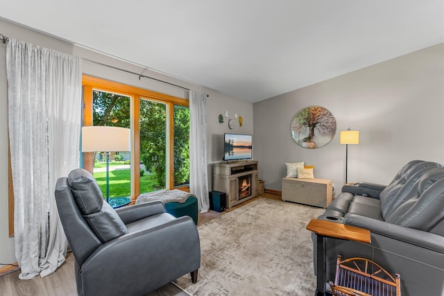 9009 44th Cir N, New Hope, MN 55428 - living room featuring wood finished floors and a warm lit fireplace