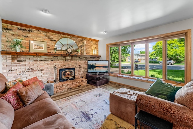 9009 44th Cir N, New Hope, MN 55428 - living room featuring wood finished floors and baseboards