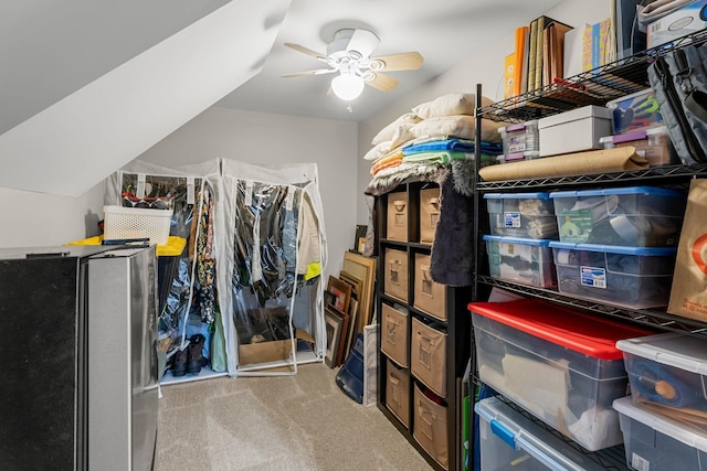 9009 44th Cir N, New Hope, MN 55428 - storage area with a ceiling fan