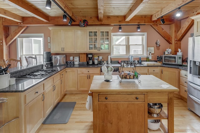 5393 Bachelor Rd NW, Hackensack, MN 56452 - kitchen featuring rail lighting, appliances with stainless steel finishes, light wood-style floors, light brown cabinetry, and healthy amount of natural light