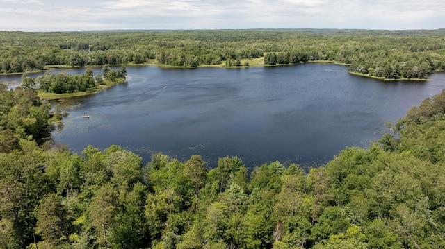 5393 Bachelor Rd NW, Hackensack, MN 56452 - drone / aerial view of a heavily wooded area and a nearby body of water