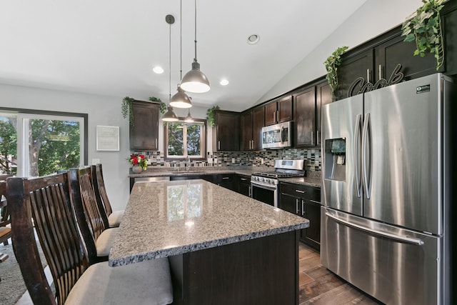 1465 19th St SE, Saint Cloud, MN 56304 - kitchen featuring stainless steel appliances, dark wood-style flooring, tasteful backsplash, lofted ceiling, and light stone counters