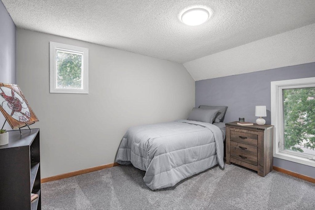402 Clifton St, Saint Paul, MN 55102 - bedroom with a textured ceiling, multiple windows, carpet flooring, and vaulted ceiling