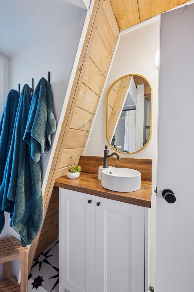 22281 670th Ave, Darwin Twp, MN 55324 - full bath featuring vanity