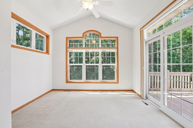 8981 Coffman Path, Inver Grove Heights, MN 55076 - photo 15