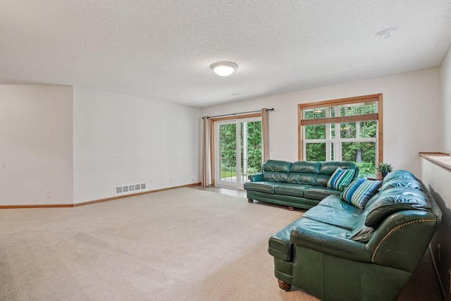 8981 Coffman Path, Inver Grove Heights, MN 55076 - photo 38