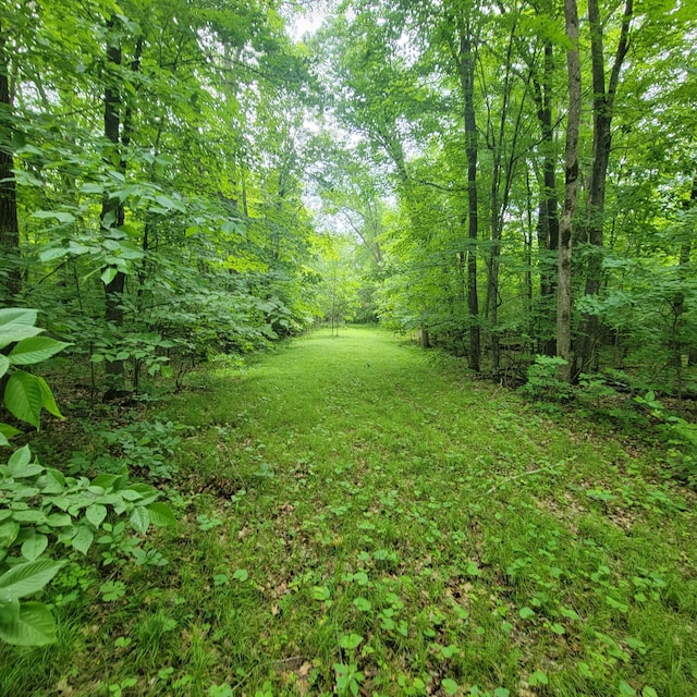 TBD 355th St, Rush Lake Twp, MN 56576