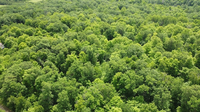 TBD 355th St, Rush Lake Twp, MN 56576
