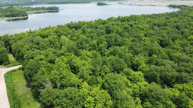 TBD 355th St, Rush Lake Twp, MN 56576