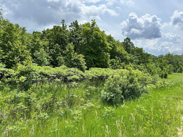 TBD 355th St, Rush Lake Twp, MN 56576
