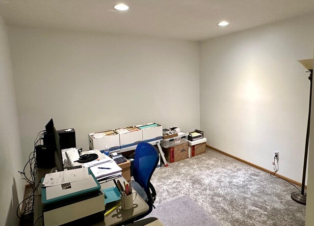 607 Washington Ave, Spring Valley, MN 55975 - office space featuring carpet flooring and recessed lighting