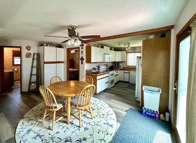 607 Washington Ave, Spring Valley, MN 55975 - dining room featuring a textured ceiling, wood finished floors, and ceiling fan