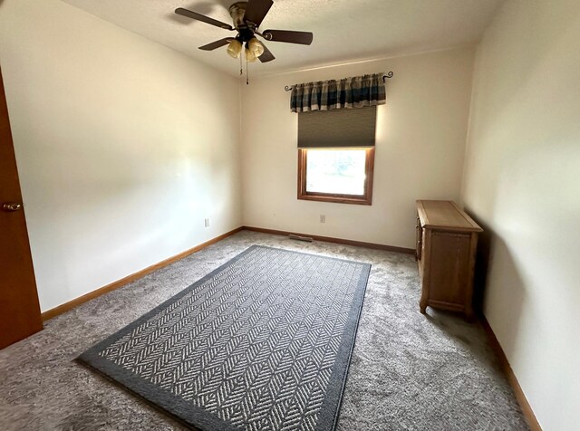 607 Washington Ave, Spring Valley, MN 55975 - spare room featuring carpet and a ceiling fan