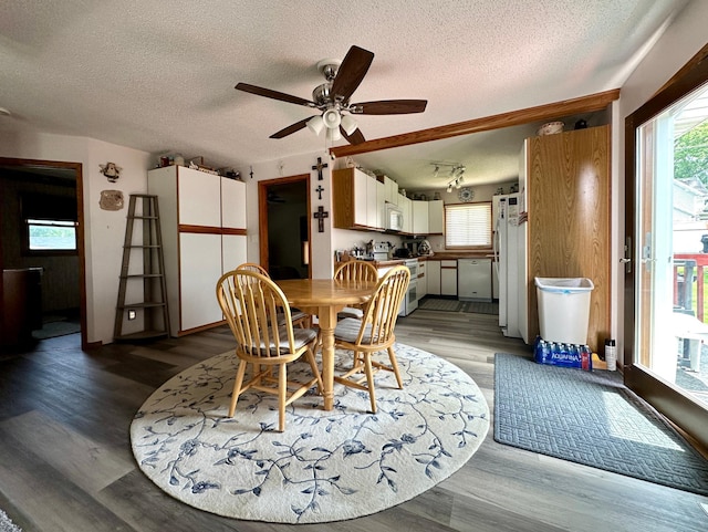 607 Washington Ave, Spring Valley, MN 55975 - dining room featuring a textured ceiling, wood finished floors, plenty of natural light, and a ceiling fan