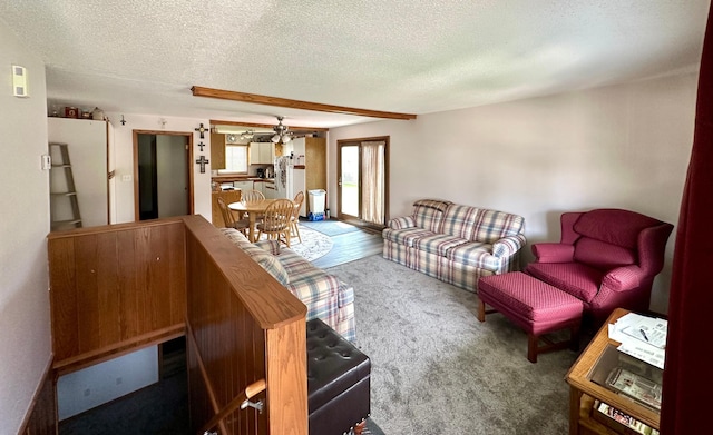 607 Washington Ave, Spring Valley, MN 55975 - carpeted living area featuring a textured ceiling