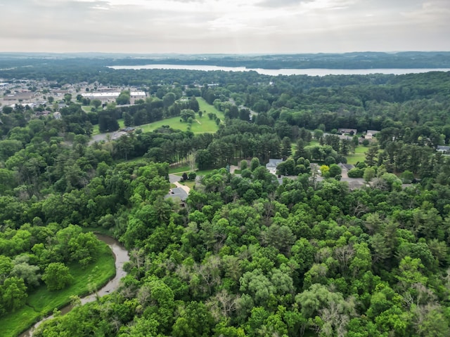 1403 Elm Ave W, Menomonie, WI 54751 - aerial view of a large body of water and a forest