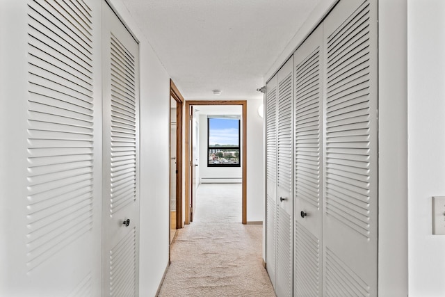 6615 Lake Shore Dr S Unit 900, Richfield, MN 55423 - hallway with light carpet and baseboards