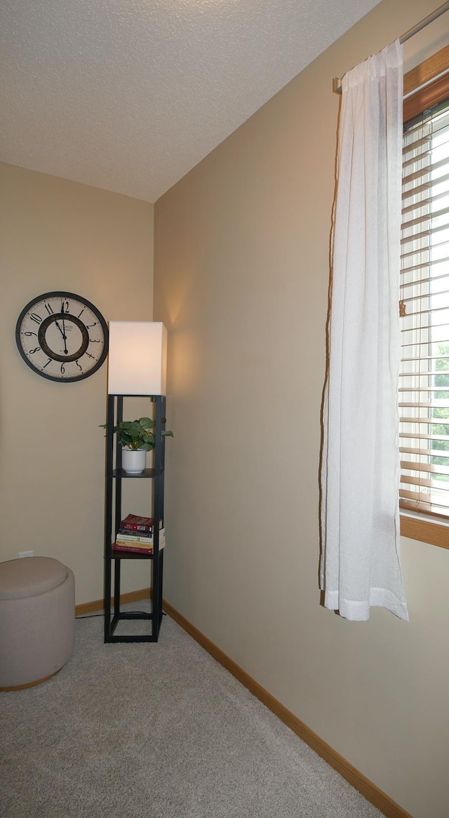 7774 Village St, Chanhassen, MN 55317 - photo 17