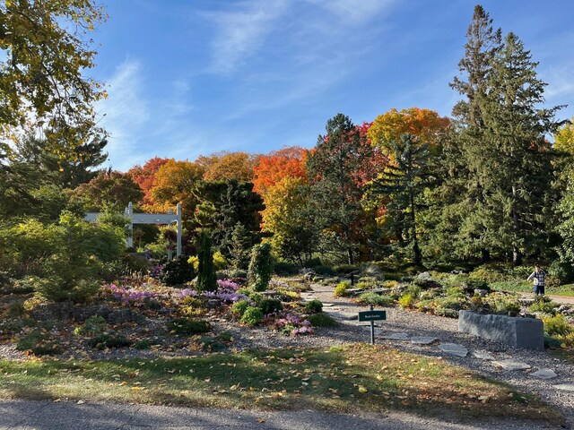 7774 Village St, Chanhassen, MN 55317 - photo 27