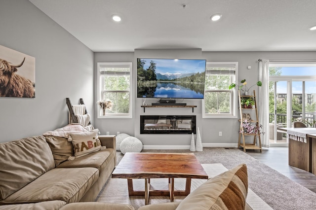 1771 Emerson Ct, Chaska, MN 55318 - living area featuring a glass covered fireplace, recessed lighting, and wood finished floors