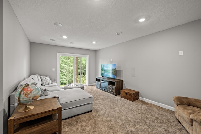 1771 Emerson Ct, Chaska, MN 55318 - living area featuring carpet, a textured ceiling, and recessed lighting