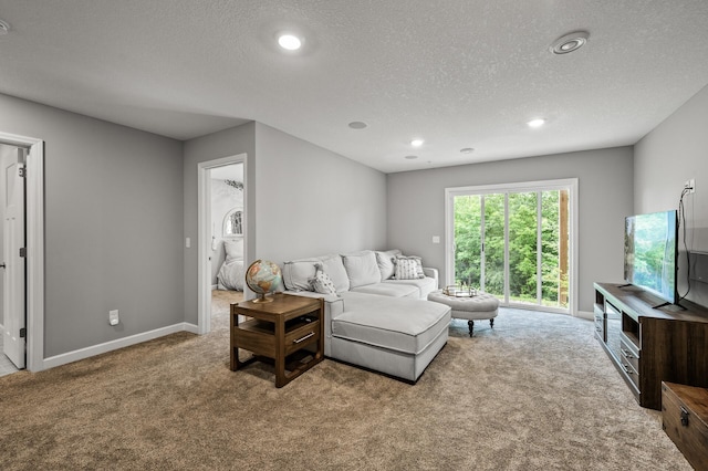 1771 Emerson Ct, Chaska, MN 55318 - carpeted living area with a textured ceiling and recessed lighting