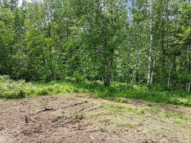 TBD 330th St, Onamia Twp, MN 56359